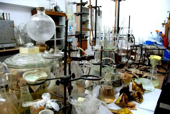 Ionel Haiduc: „Secolul al XXI-lea va fi dedicat ştiinţelor vieţii“ 97191