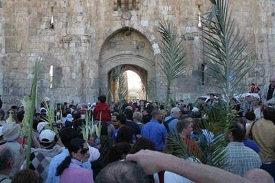 Călători cu Dumnezeu pe Calea Floriilor 97357