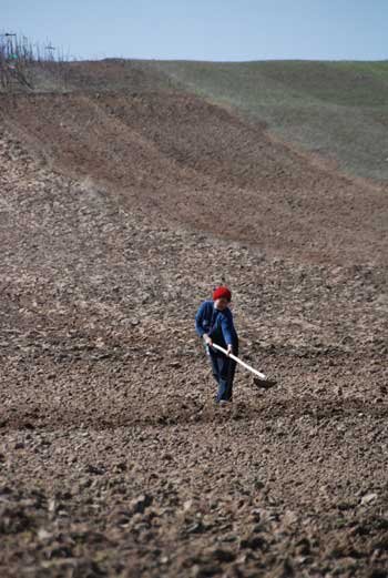 Calendarul lucrărilor în agricultură în luna aprilie 97410