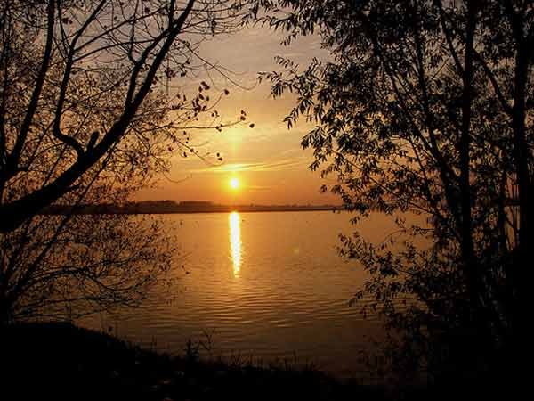 Calist Angelicude şi Meşteşugul liniştirii 97497