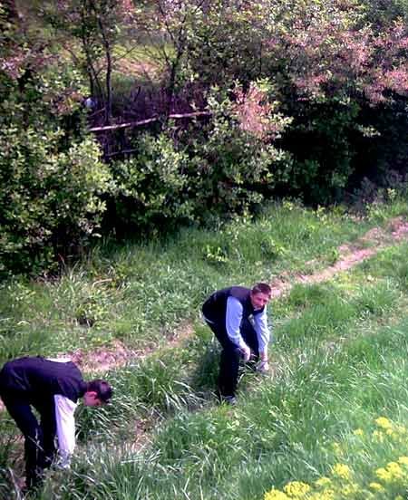 Elevii de la Liceul Ortodox din Oradea au ecologizat malul Crişului Repede 97836