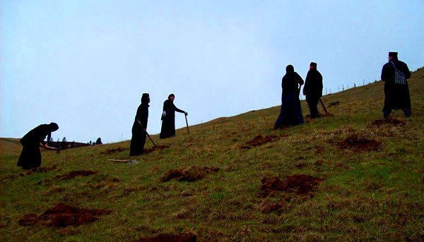 Obştile mănăstireşti împăduresc dealurile Covasnei şi Harghitei 97835