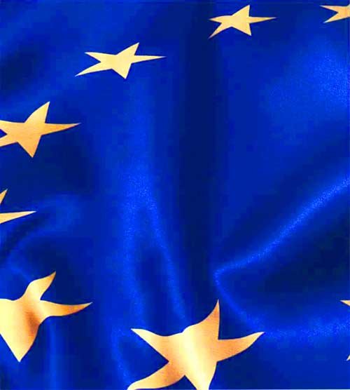 „Trebuie organizat pilonul european de apărare“ 97832