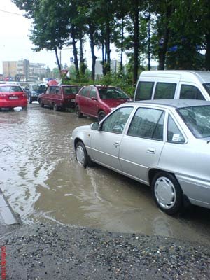 Soluţia pentru încălzirea globală: întărirea malurilor mărilor 97910