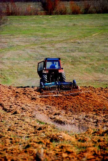 28,6 milioane de euro pentru exploataţiile agricole ecologice 98030