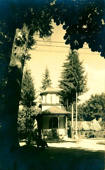 Schitul Ostrov al Doamnei Despina 98105