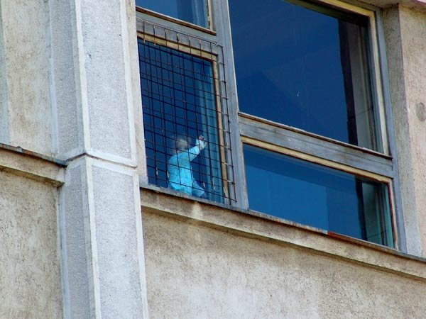 Sprijin pentru victimele violenţei în familie 98108