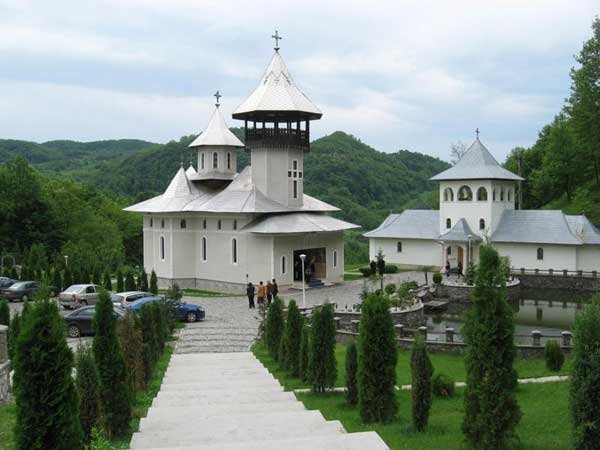 S-a constituit Adunarea eparhială în Episcopia Devei şi Hunedoarei 98133