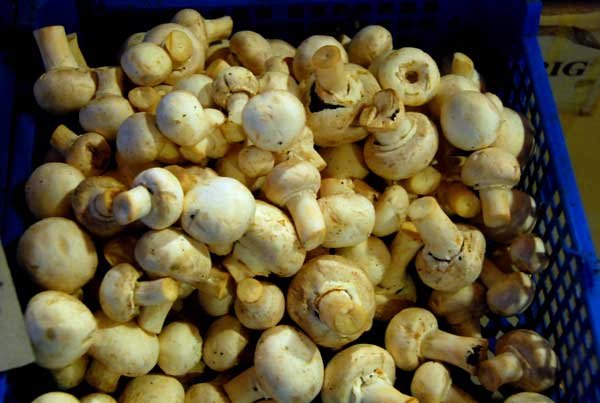 Care este necesarul zilnic de vitamina D 98187