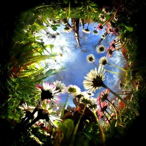 Răspunsuri duhovniceşti: Cum să trăim o viaţă „ecologică“ în Hristos? 98259