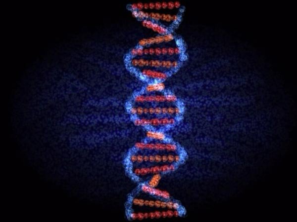 Răspunsuri duhovniceşti: Fragila balanţă dintre creaţie şi distrugere 98326