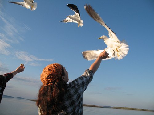 „Fără linişte, noi nu ne putem apropia de Dumnezeu“ 98447