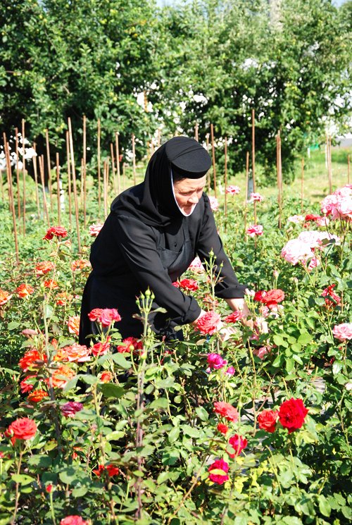 Ora et labora la mănăstirile Samurcăşeşti şi Ghighiu 98674