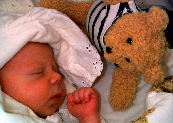 Strigătele din burta mamei ale copiilor de cenuşă 98712