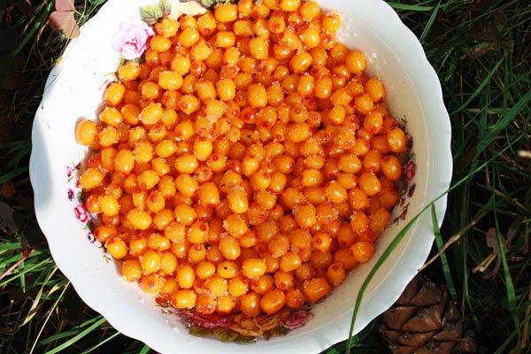 Despre multiplele utilizări ale cătinei albe în fitoterapie 98831