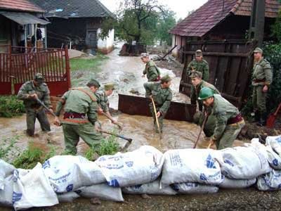 Cuvântul tânărului: Voluntari şi voluntariat în România de azi 98940