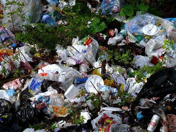 Bunul simţ, între „tehnici sociale“ şi mântuire 98961