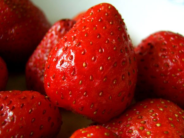 Tratamente fitoterapeutice în boala Alzheimer 98979