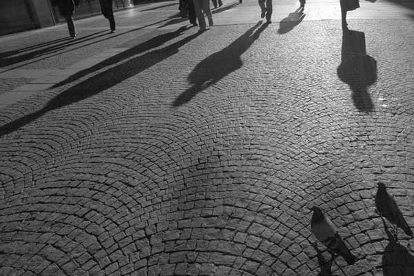 Cercetările pe celulele stem 99035