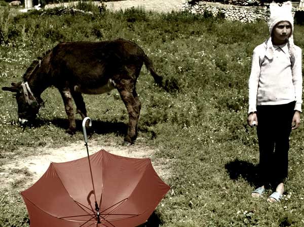 De la frumuseţea muncii la noua economie a satului 99076