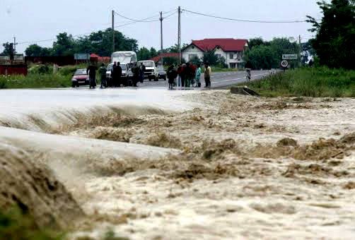 Centre de colectare în Capitală 99137