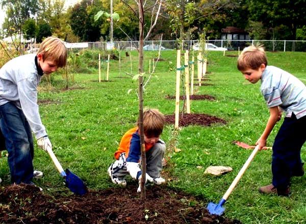 „Te simţi singur, intră în reţea…“ 99163