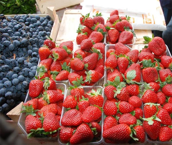 Cum depistăm la ce suntem alergici 99236