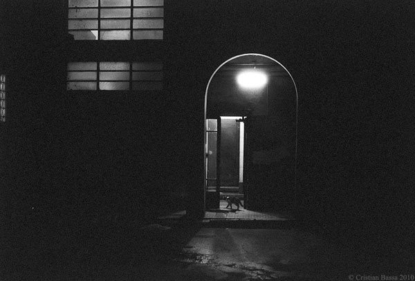 Entuziasm şi temeri la crearea celulei Synthia 99250