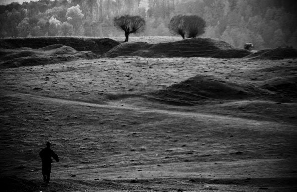 Depresia ar putea deveni boala numărul unu în lume 99297