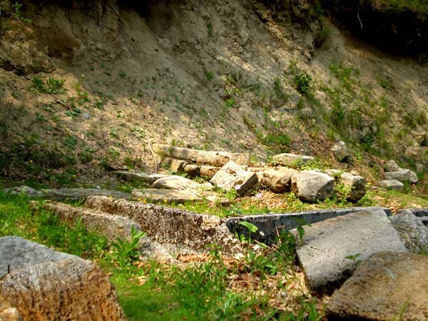 Fără educaţie religioasă nu putem înţelege istoria şi cultura 99313