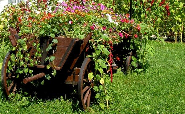 Cuvântul profesorului: Lumea, loc de exersare spirituală 99339