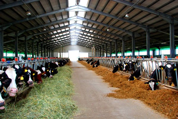 Până la 70% reducere din costul primelor de asigurare 99352