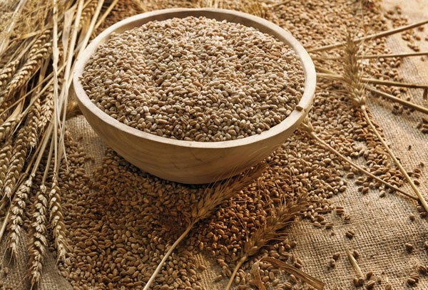 Vom mânca pâine mai scumpă 99450