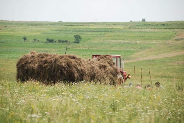 Ajutor pentru fermierii care folosesc utilajele agricole 99529