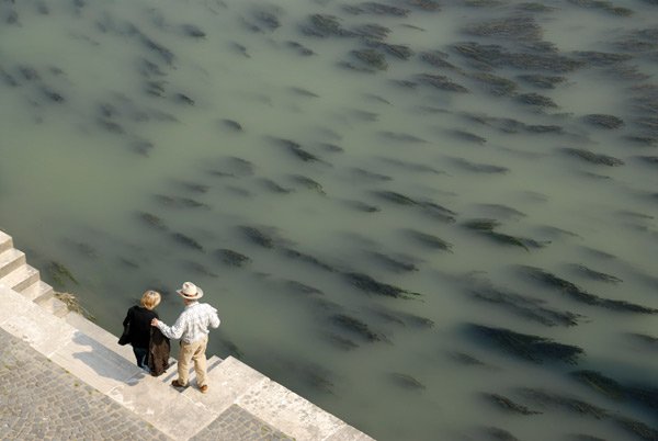 Întrebările generaţiilor născute prin tehnologii artificiale 99746