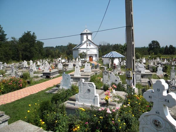 Strădanie şi lucrare în Parohia Pocruia de Gorj 99803