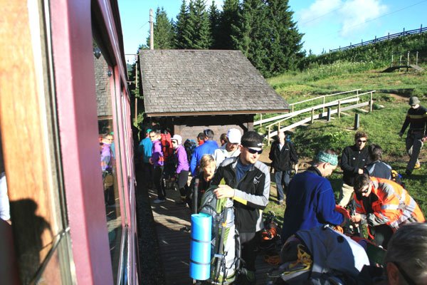 Păcatul distrugerii mediului ambiant 99836