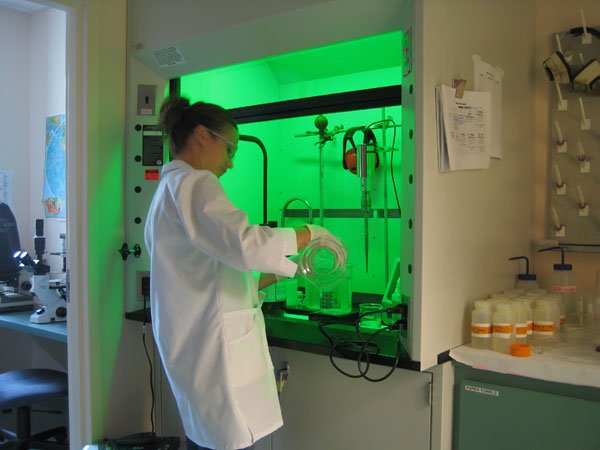 Exodul creierelor 99989