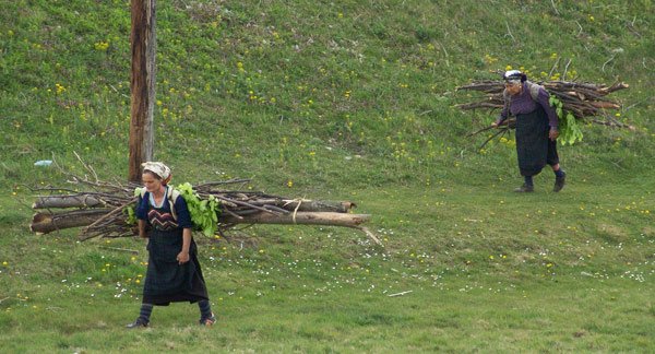 Criza economică şi criza familiei 100172