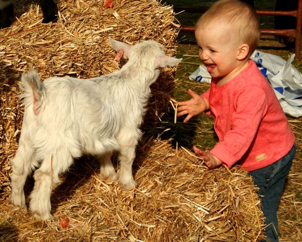 Întrebările existenţiale ale celor mici 100229