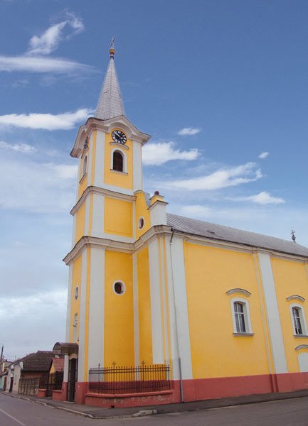 Episcopia Ortodoxă Română a Oradiei până la 1920 100301