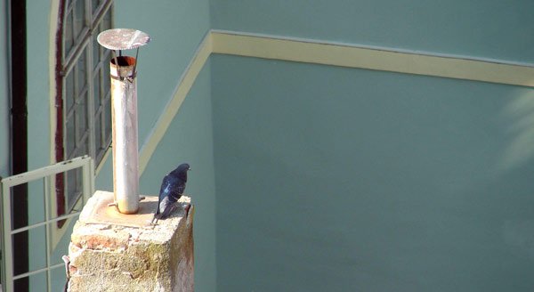 Revizuirea legii bioeticii în Franţa 100292