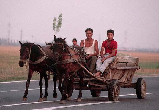 Dez-integrarea europeană 100344