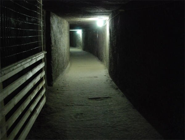 Despre fobiile omului modern 100388