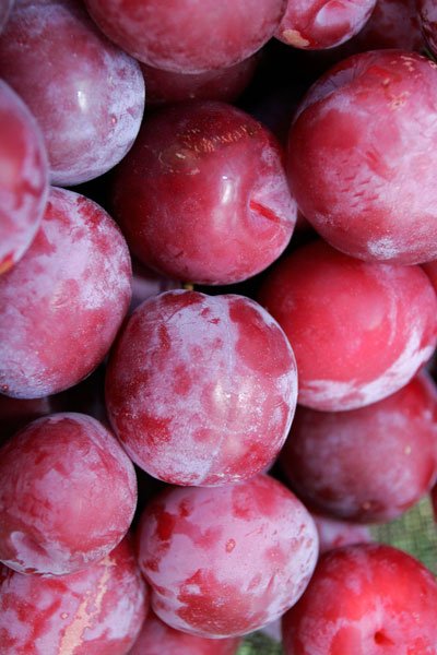 Prunele, „medicament“ de sezon 100667