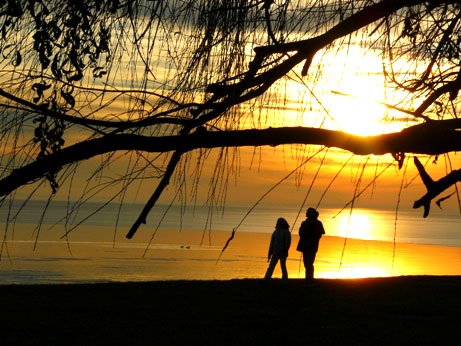 Familia creştină tradiţională, distrusă de secularizare 100706