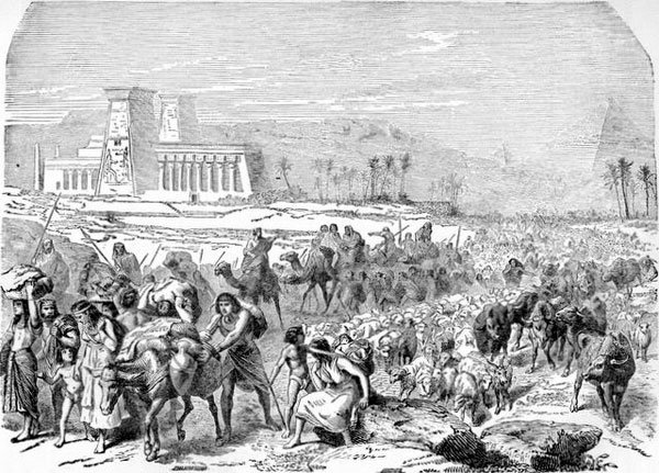 Furt sau răsplată? 100701