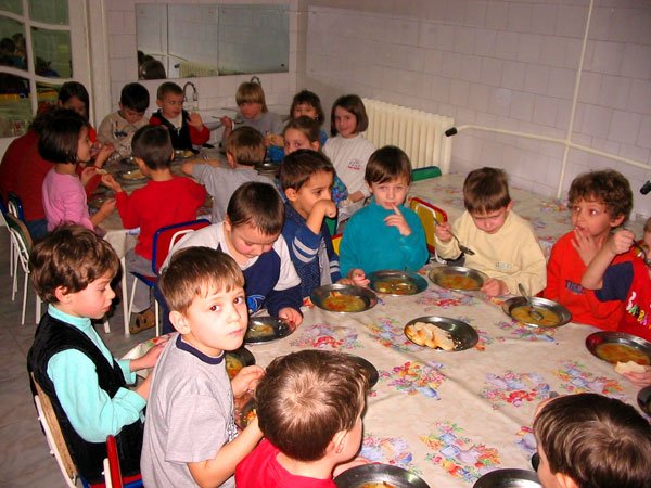 De ce apar alergiile alimentare şi digestive la copil 100896