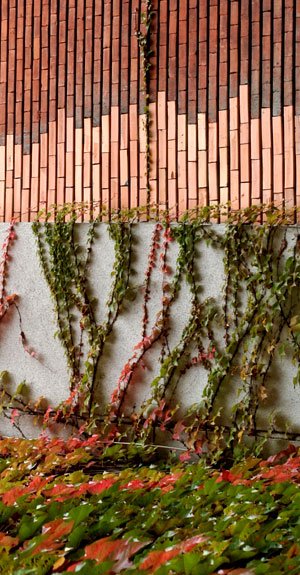 Dreptul la obiecţia din motive de conştiinţă în sănătate 100911