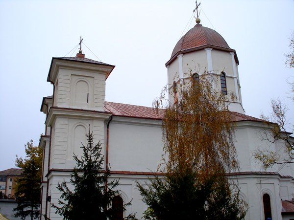 Cinstite moaşte în procesiune 101385